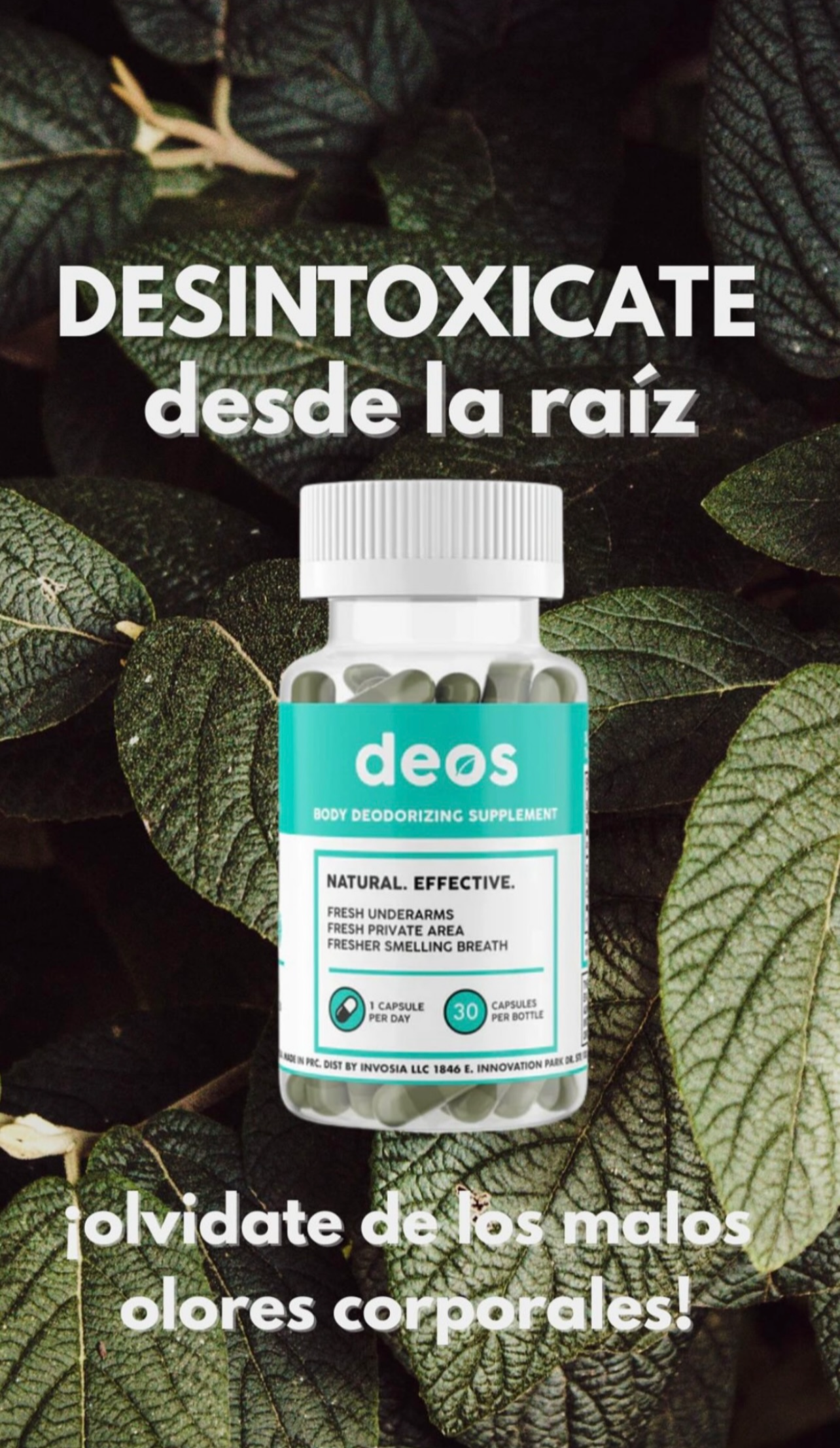 DEOS Suplemento desodorante interno