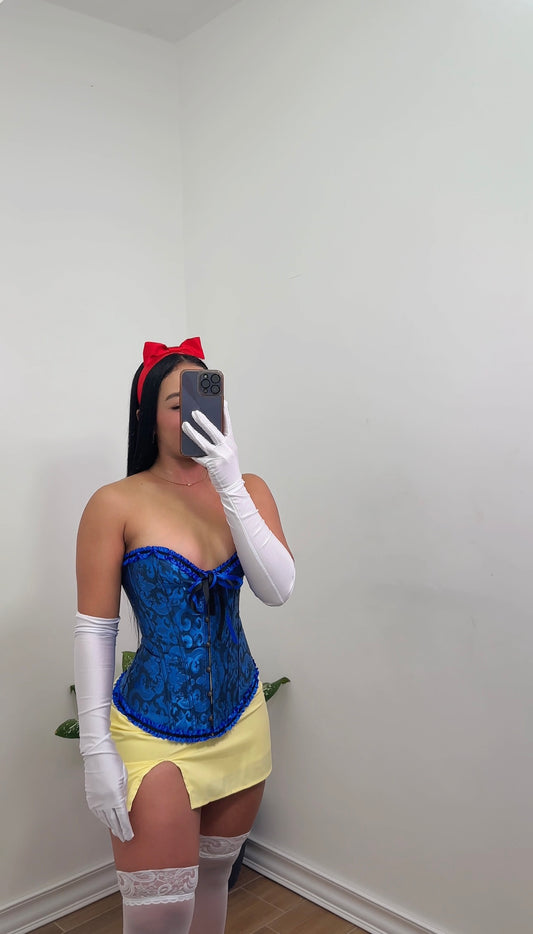 PRINCESA CENICIENTA
