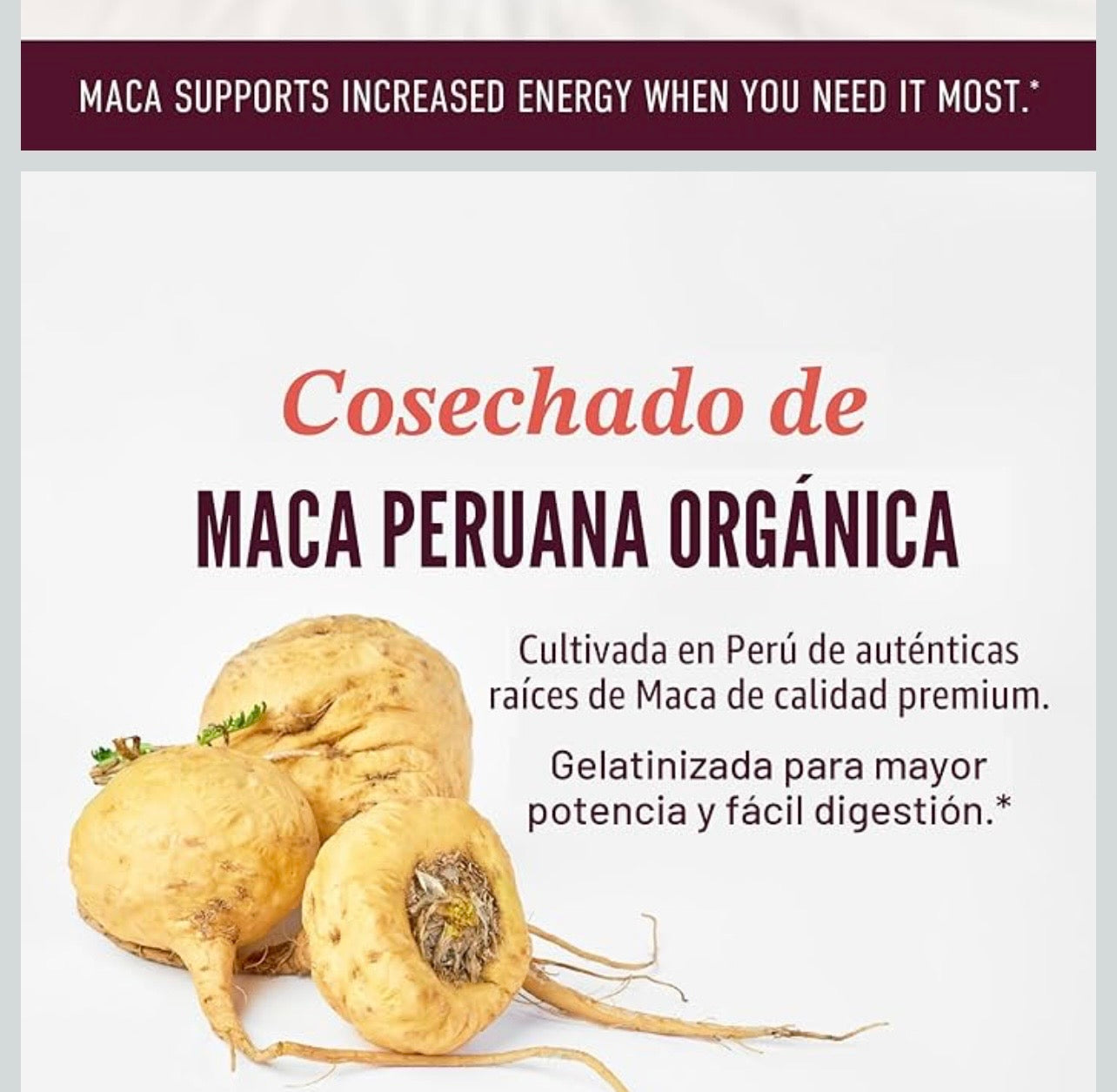 Maca Peruana Estimulante Natural