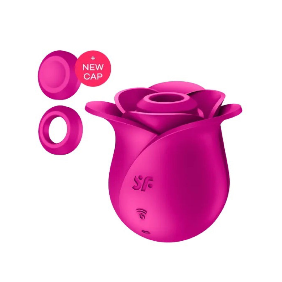 SATISFYER PRO 2 MODERN BLOSSOM